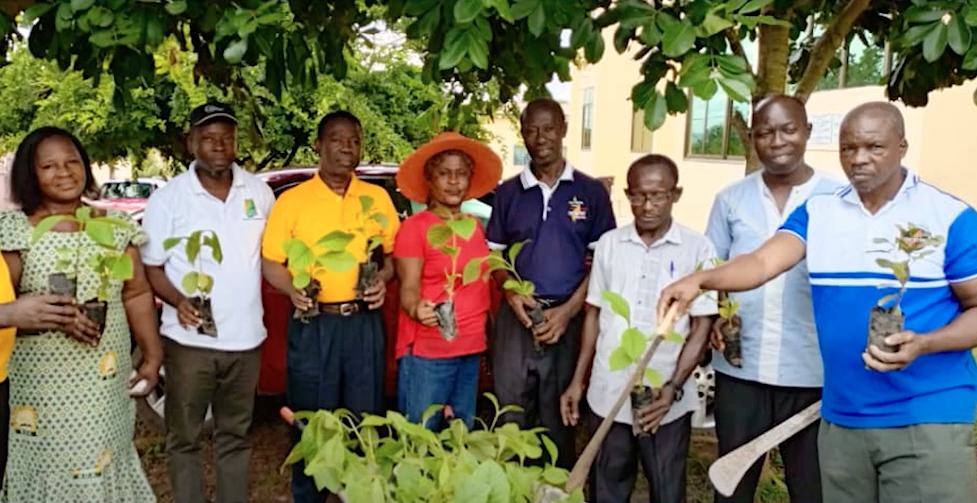 Iglesia Adventista de Ghana se compromete a plantar un millón de árboles