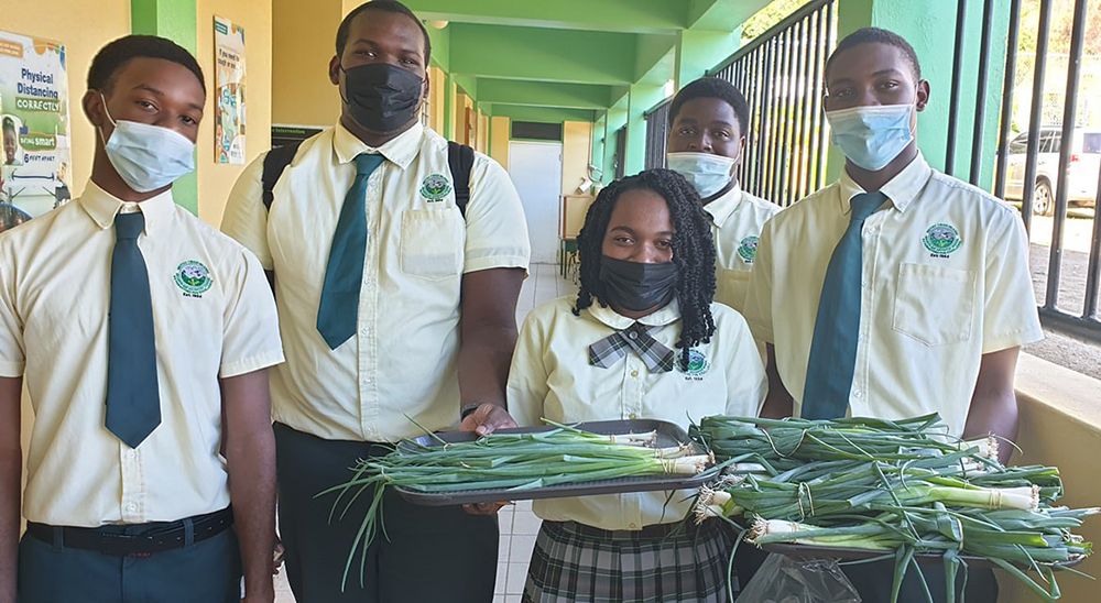 Escuela adventista en Tórtola enseña a los estudiantes cómo impactar a la comunidad con sus cursos de agricultura