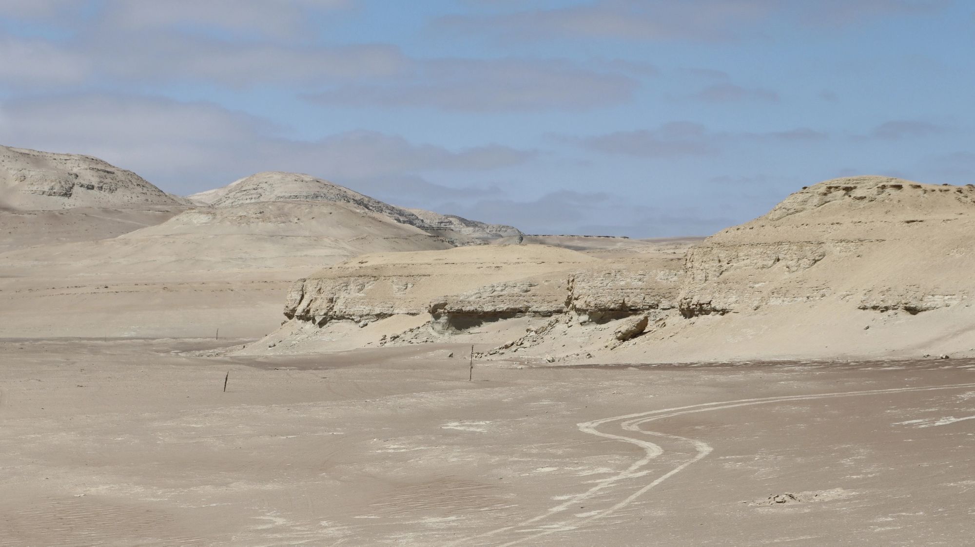 Ballenas en el desierto: evidencias del diluvio en Perú